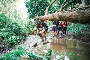 BIB: 
                            <button type="button" onclick="openModal(25515092)" class="btn btn-primary btn-sm float-right btn-popup" data-toggle="modal" data-target=".modal-high-quality">
                        <i class="fas fa-shopping-cart"></i> Add to Cart
                    </button>
                                            <button type="button" onclick="isThisMe(25515092, true)" class="btn btn-success btn-sm float-right btn-popup btn-isme hidden" data-toggle="tooltip" data-placement="bottom" title="นี่คือรูปของคุณใช่ไหม คลิกที่นี่เพื่อเอาเข้าอัลบั้ม">
                        <i class="fas fa-plus"></i> Add to album
                    </button>
                    <button type="button" onclick="isThisMe(25515092, false)" class="btn btn-warning btn-sm float-right btn-popup btn-isnotme hidden">
                        <i class="fas fa-ban"></i> Remove from album
                    </button>